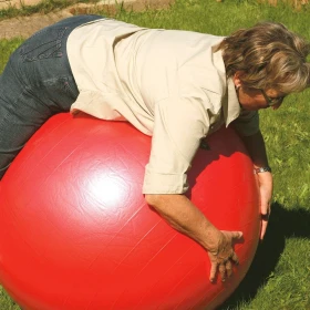 Pelota Bodyball - 85 cm