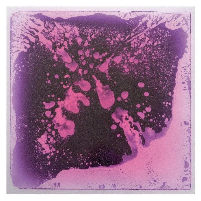 Las placas sensoriomotrices - Morado