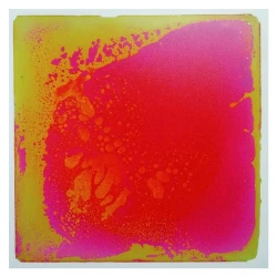 Las placas sensoriomotrices - Rosa