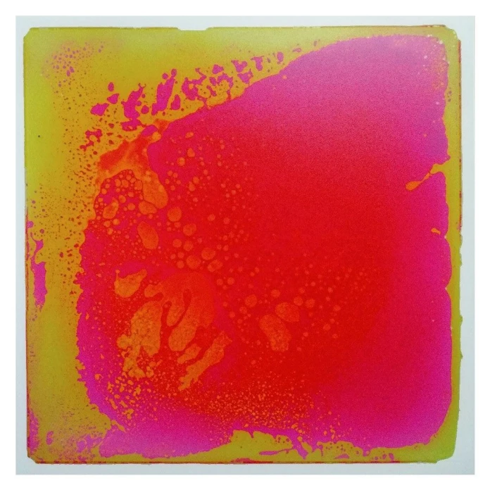 Las placas sensoriomotrices - Rosa