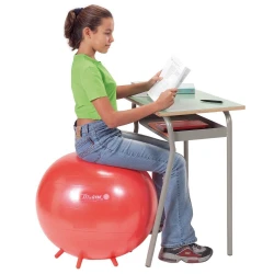 Sit'n'Gym - 55 cm - Rojo